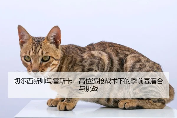 qie-er-xi-xin-shuai-ma-lei-si-ka-gao-wei-bi-qiang-zhan-shu-xia-de-ji-qian-sai-mo-he-yu-tiao-zhan-2-677.jpg