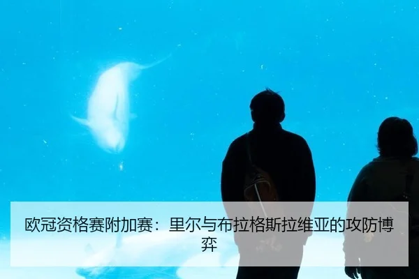 ou-guan-zi-ge-sai-fu-jia-sai-li-er-yu-bu-la-ge-si-la-wei-ya-de-gong-fang-bo-yi-2-208.jpg
