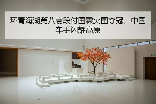环青海湖第八赛段付国霖突围夺冠，中国车手闪耀高原