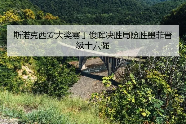 si-nuo-ke-xi-an-da-jiang-sai-ding-jun-hui-jue-sheng-ju-xian-sheng-mo-fei-jin-ji-shi-liu-qiang-2-407.jpg
