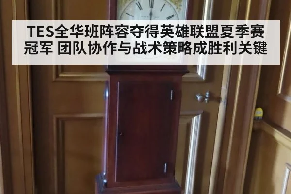TES全华班阵容夺得英雄联盟夏季赛冠军 团队协作与战术策略成胜利关键
